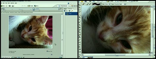 Click to launch the free Photoshop Elements tutorial from Total Training