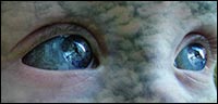 Fascinating Tutorials From R-Klein-Webdesign