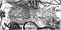 New Photoshop Brush Set From Kirsty