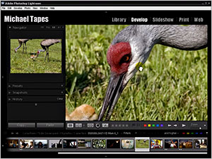 Adobe Photoshop Blog | PhotoshopSupport.com