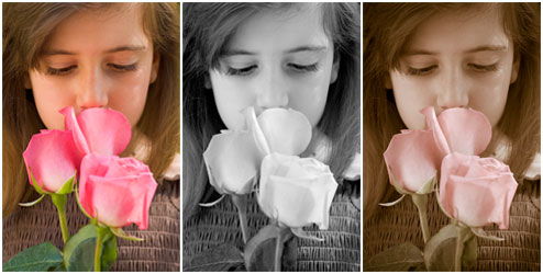 100 Free Photo Presets For Abode Camera Raw 4.1 From onOne