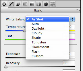 Camera Raw Tip - White Balancing in Adobe Camera RAW