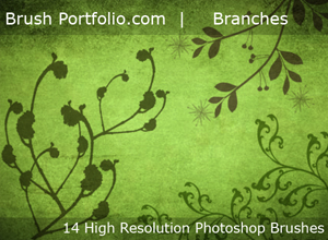 Free Branches Photoshop Brushes