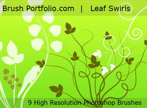 Free Branches Photoshop Brushes