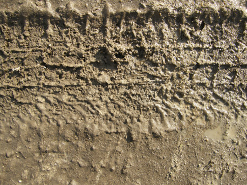 Free Textures From Mars - Images From Mars Landscape