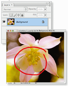 How To Get Dodge And Burn Effects Using Layer Masks And Blending Modes In Photoshop CS4