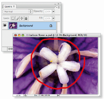 How To Get Dodge And Burn Effects Using Layer Masks And Blending Modes In Photoshop CS4