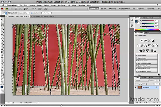 Photoshop CS5: Selections in Depth - Free Training Video Clips - lynda.com