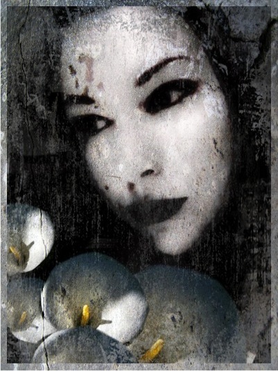 Beautiful Photos From iPhones - iPhone Art Gallery