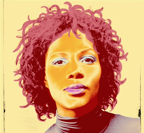 Creating a series of Warhol-style variations - Video Tutorial And Step-by-Step