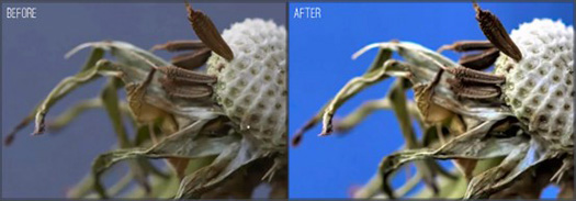 Topaz Clarity Photoshop Plugin - Create Flawless Contrast and Clarity Definition With A Few Clicks