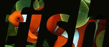 Photoshop Tip: Type Mask Made Easy