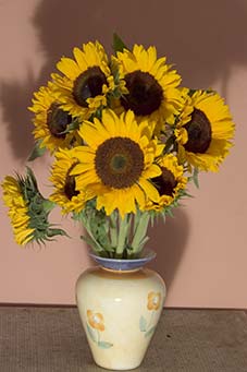 Van Gogh Effect - Van Gogh's Sunflowers Photoshop Effect